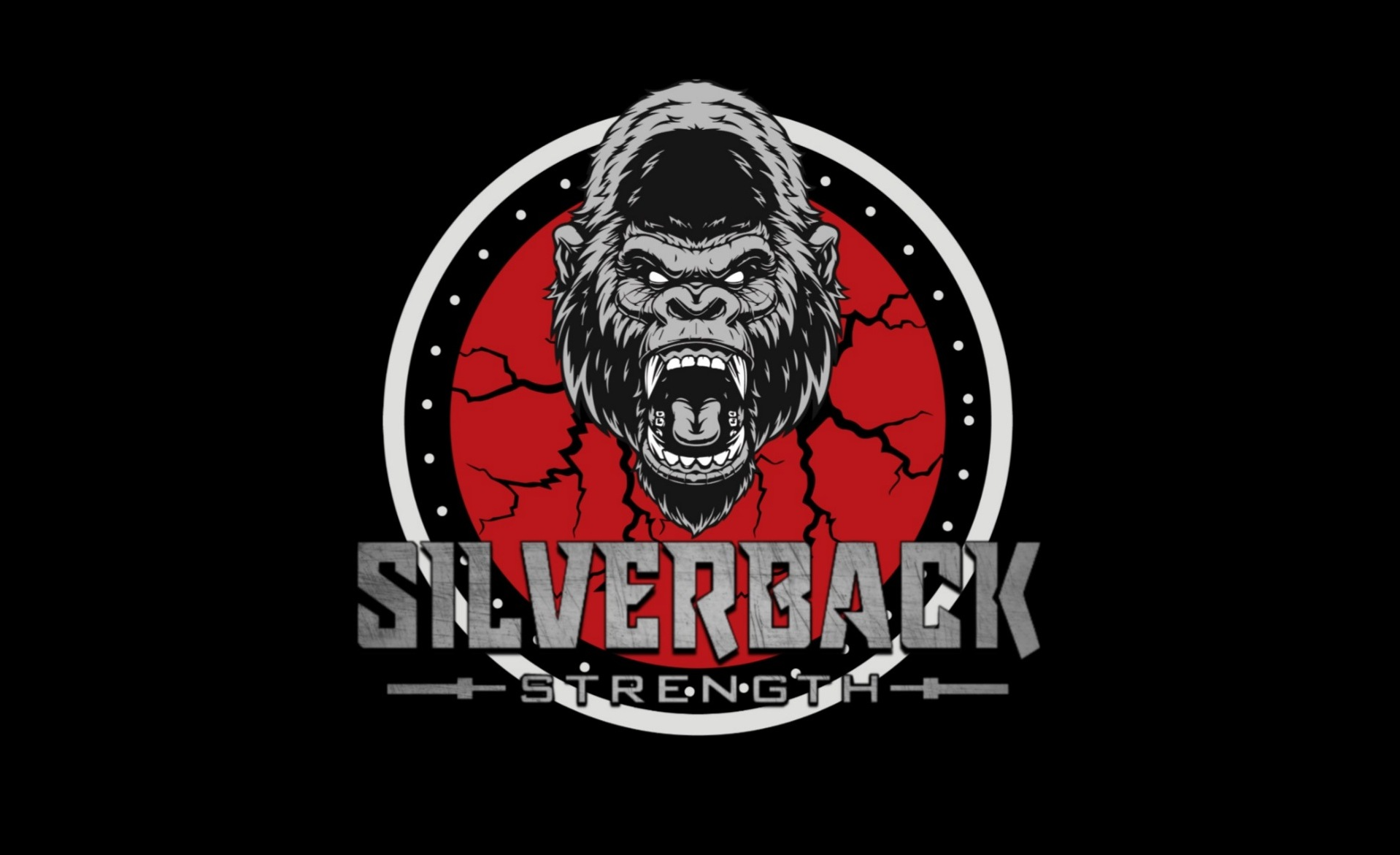 silverback weight