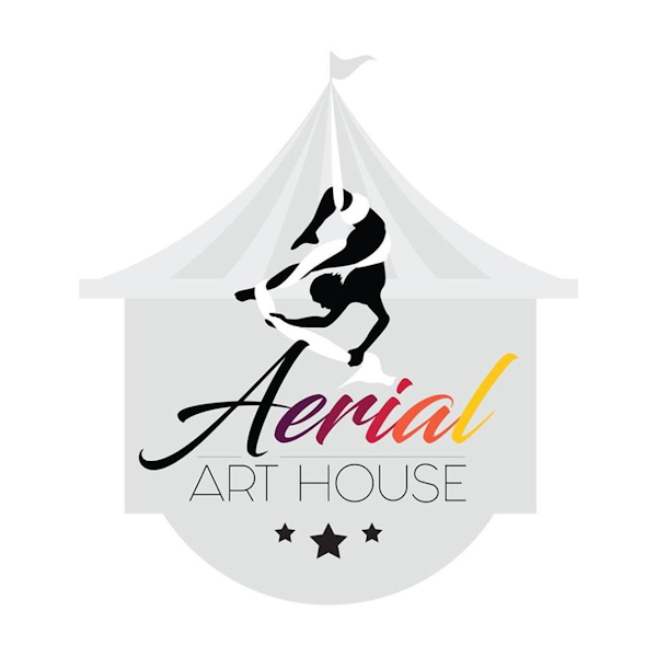 Aerial Art House TeamUp